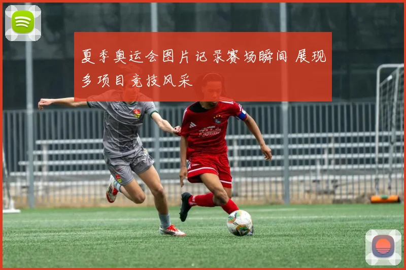 夏季奥运会图片记录赛场瞬间 展现多项目竞技风采