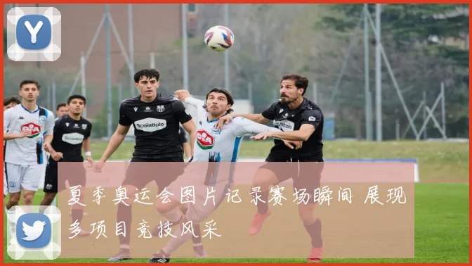 夏季奥运会图片记录赛场瞬间 展现多项目竞技风采
