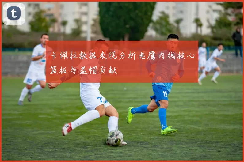 卡佩拉数据表现分析老鹰内线核心篮板与盖帽贡献